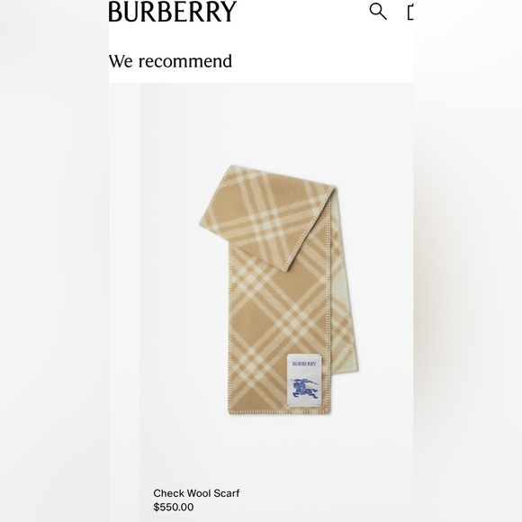 BURBERRY AUTHENTIC WOOL SCARF - Picture 4 of 9